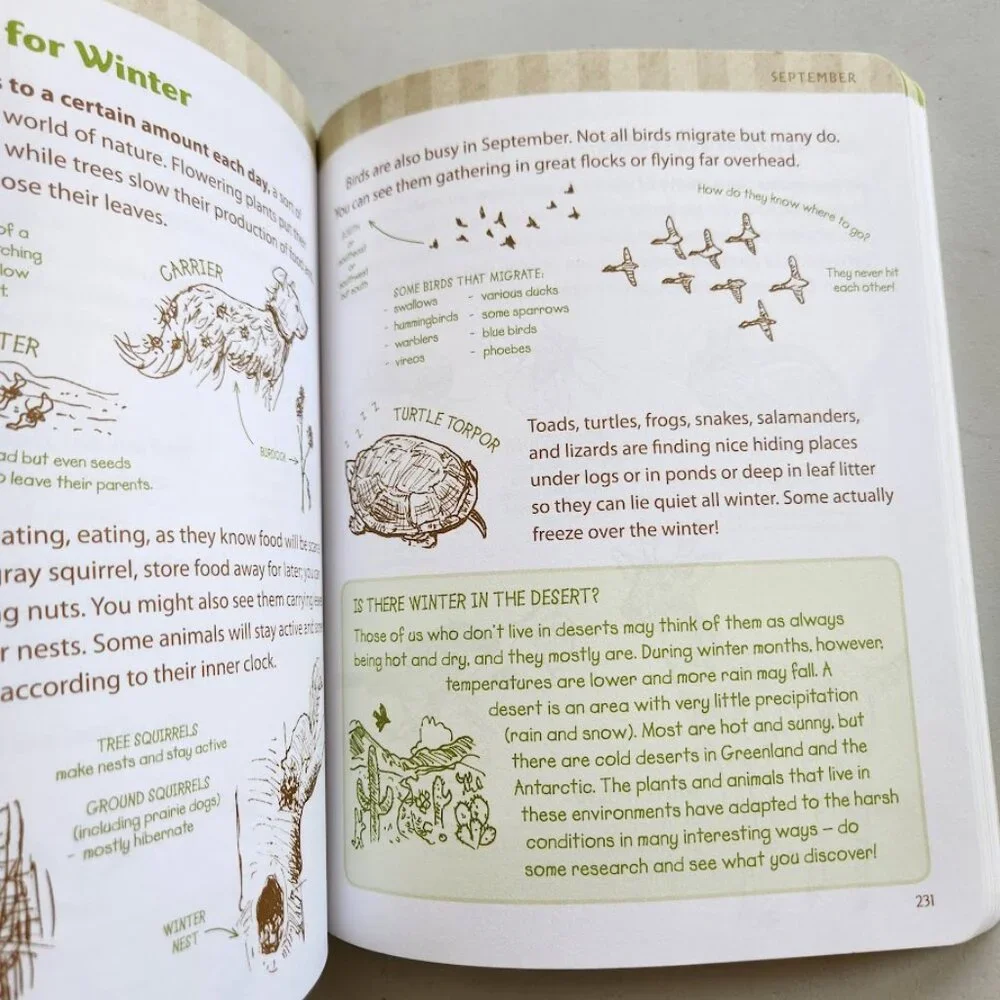 Nature Journal Atcitty Book Workbook Clare Walker Leslie The Nature Connection